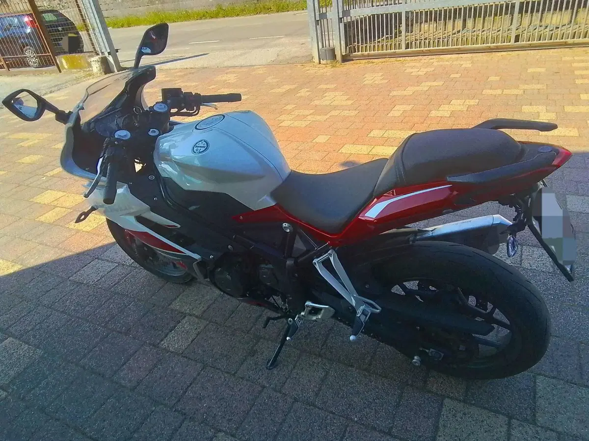 Benelli BN 302 R (2017 - 20) (9)