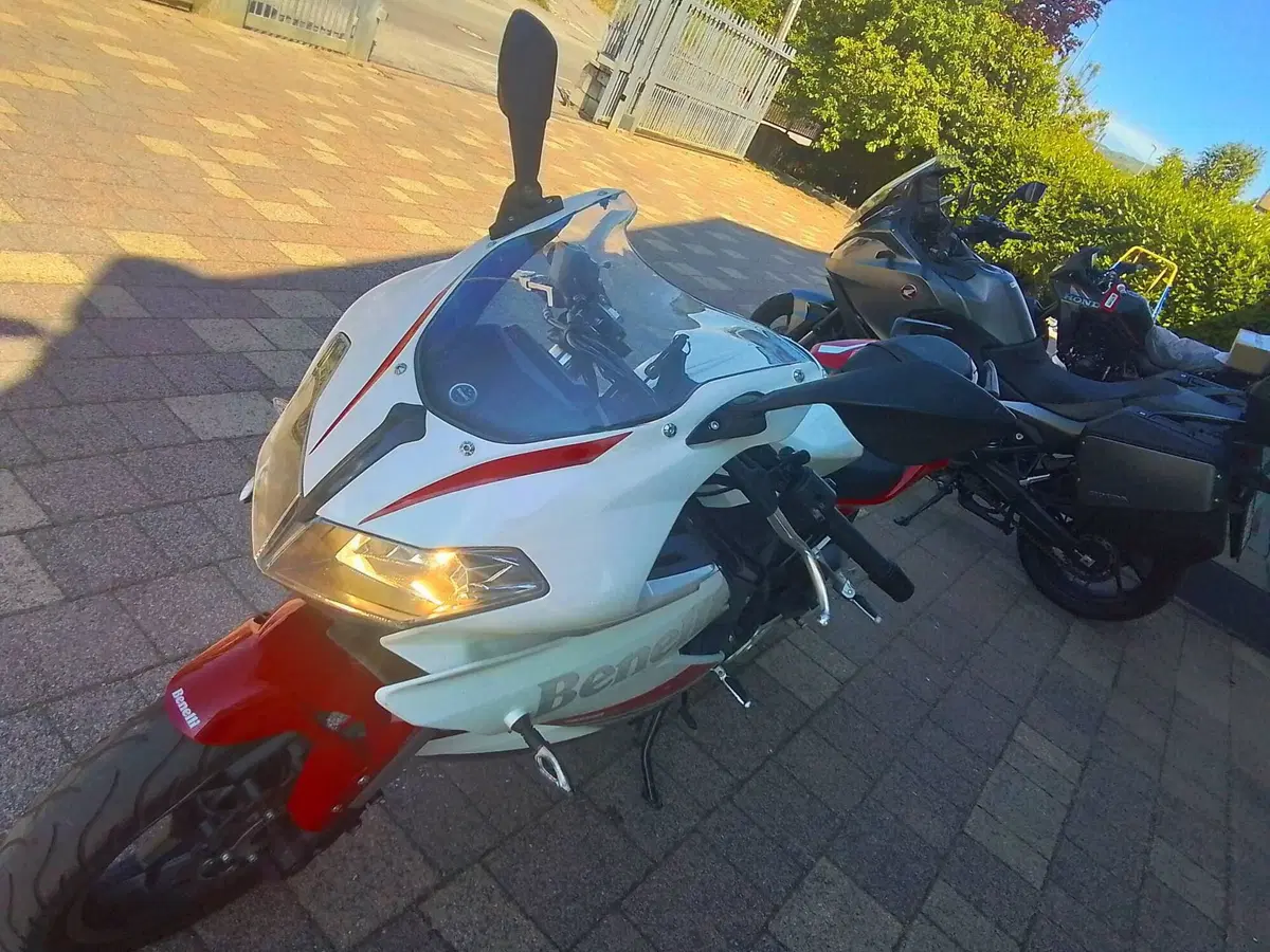 Benelli BN 302 R (2017 - 20) (12)