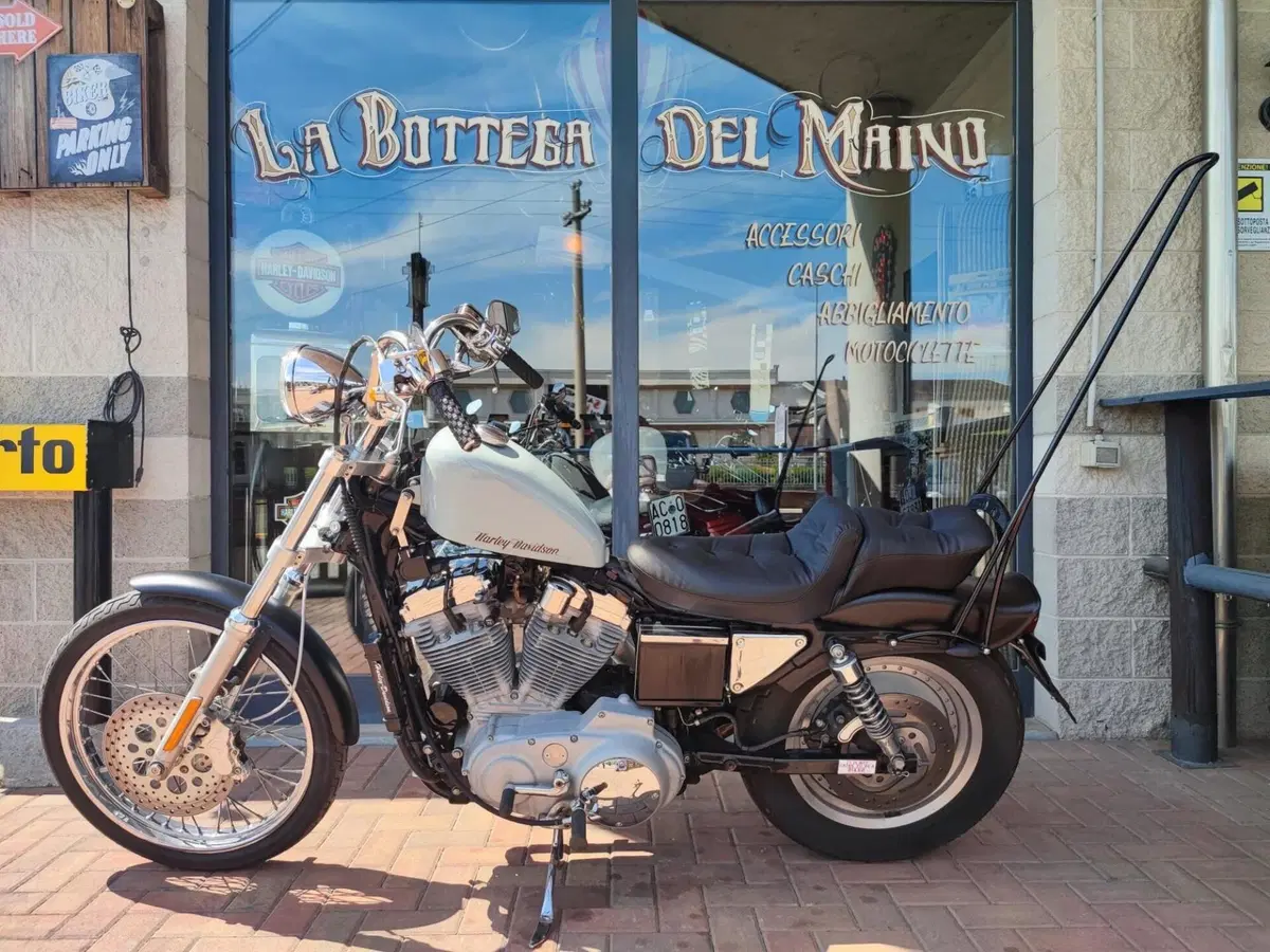 Harley-Davidson 883 Custom (1998 - 00) - XL 53C (3)