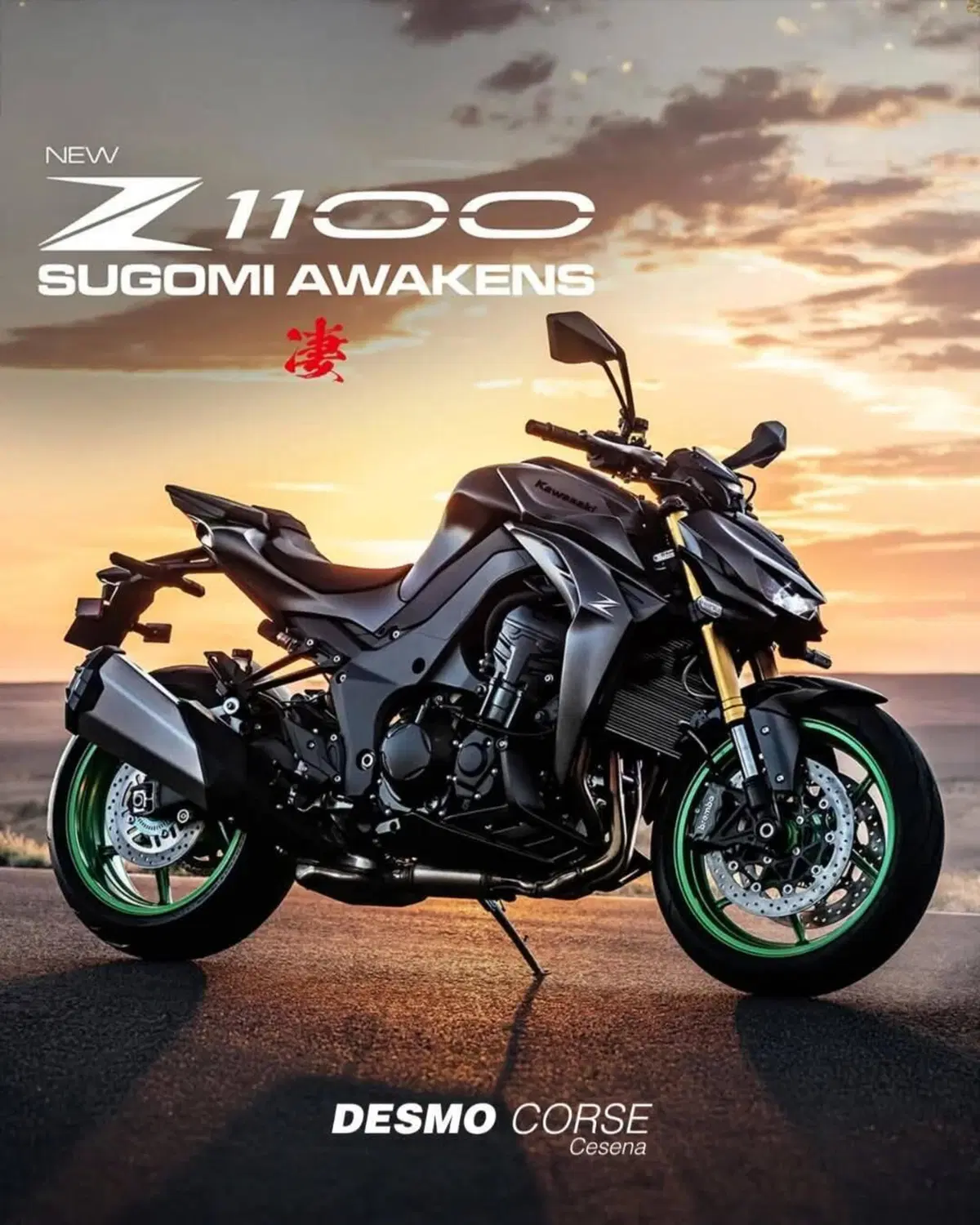 Kawasaki Z 1100 (2026) (8)