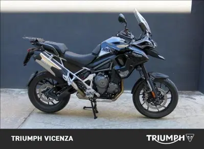 Triumph Tiger 1200 GT Pro (2024 - 26) usata