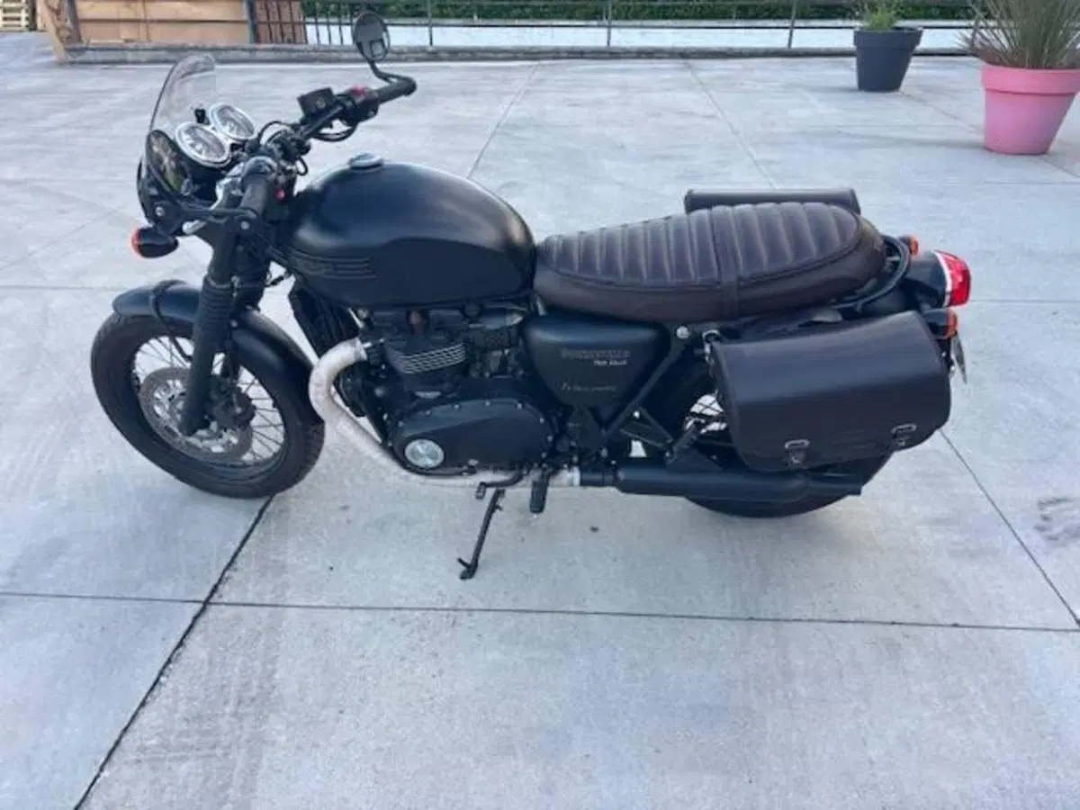 Triumph Bonneville T100 (2017 - 20) (2)