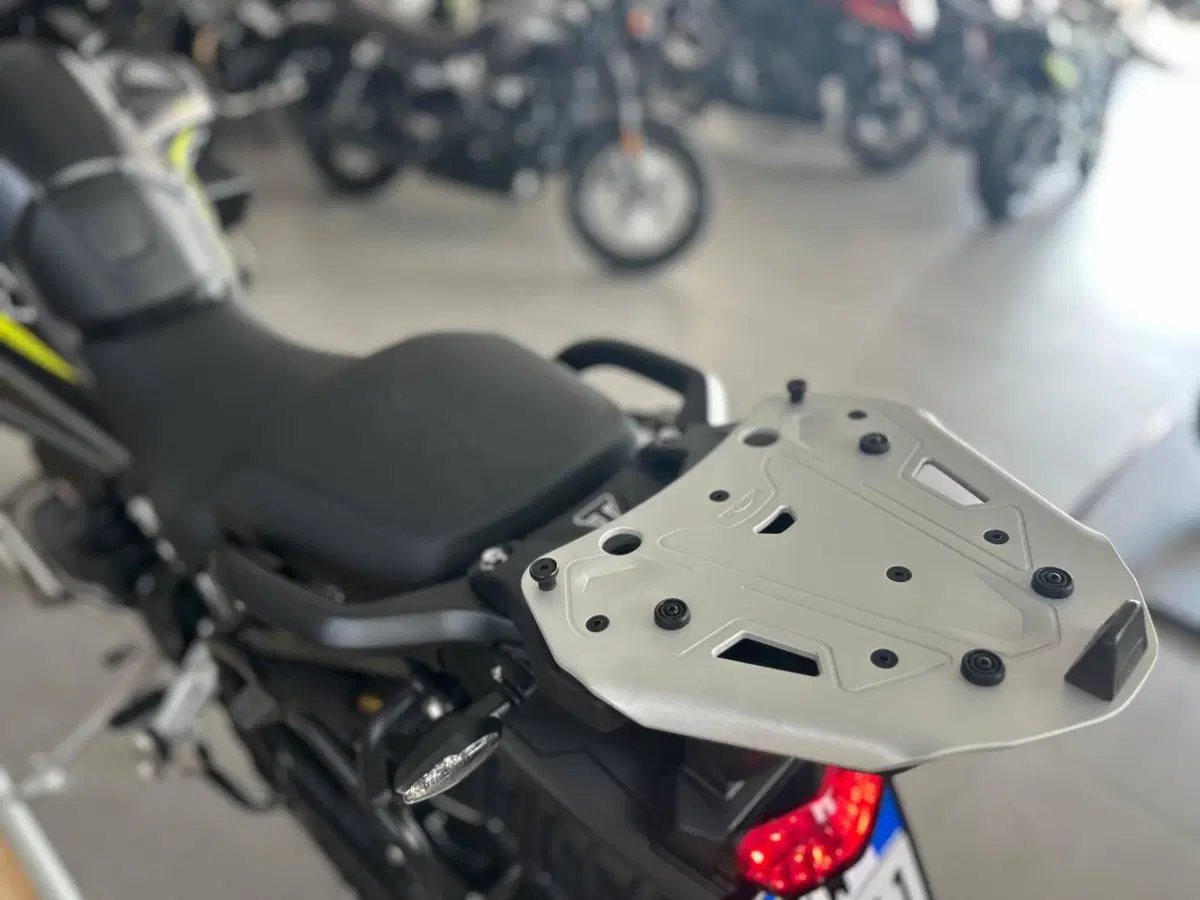Triumph Tiger 1200 Desert Special Edition (2026) (6)