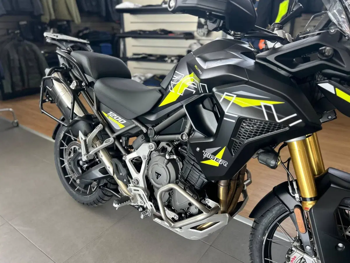 Triumph Tiger 1200 Desert Special Edition (2026) (7)