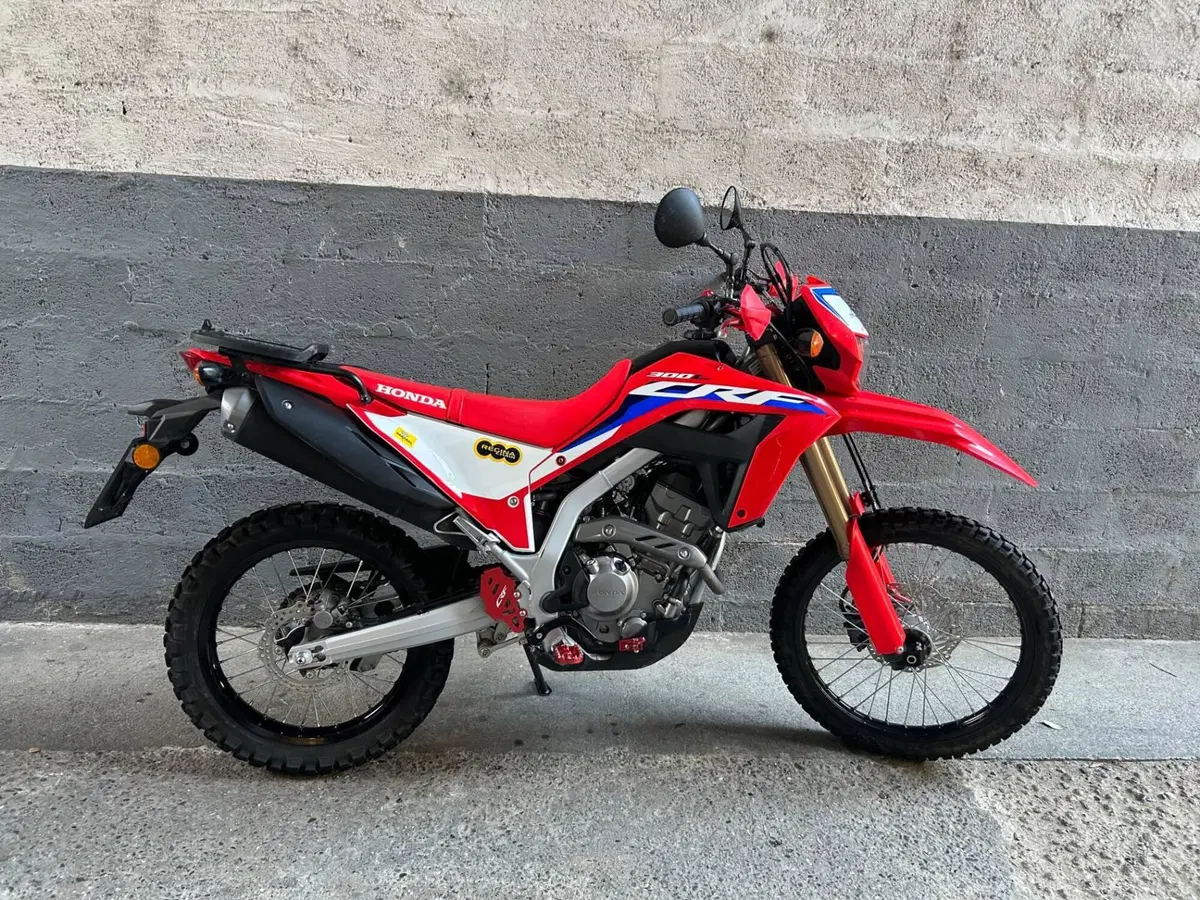 Honda CRF 300L (2021 - 24) (4)