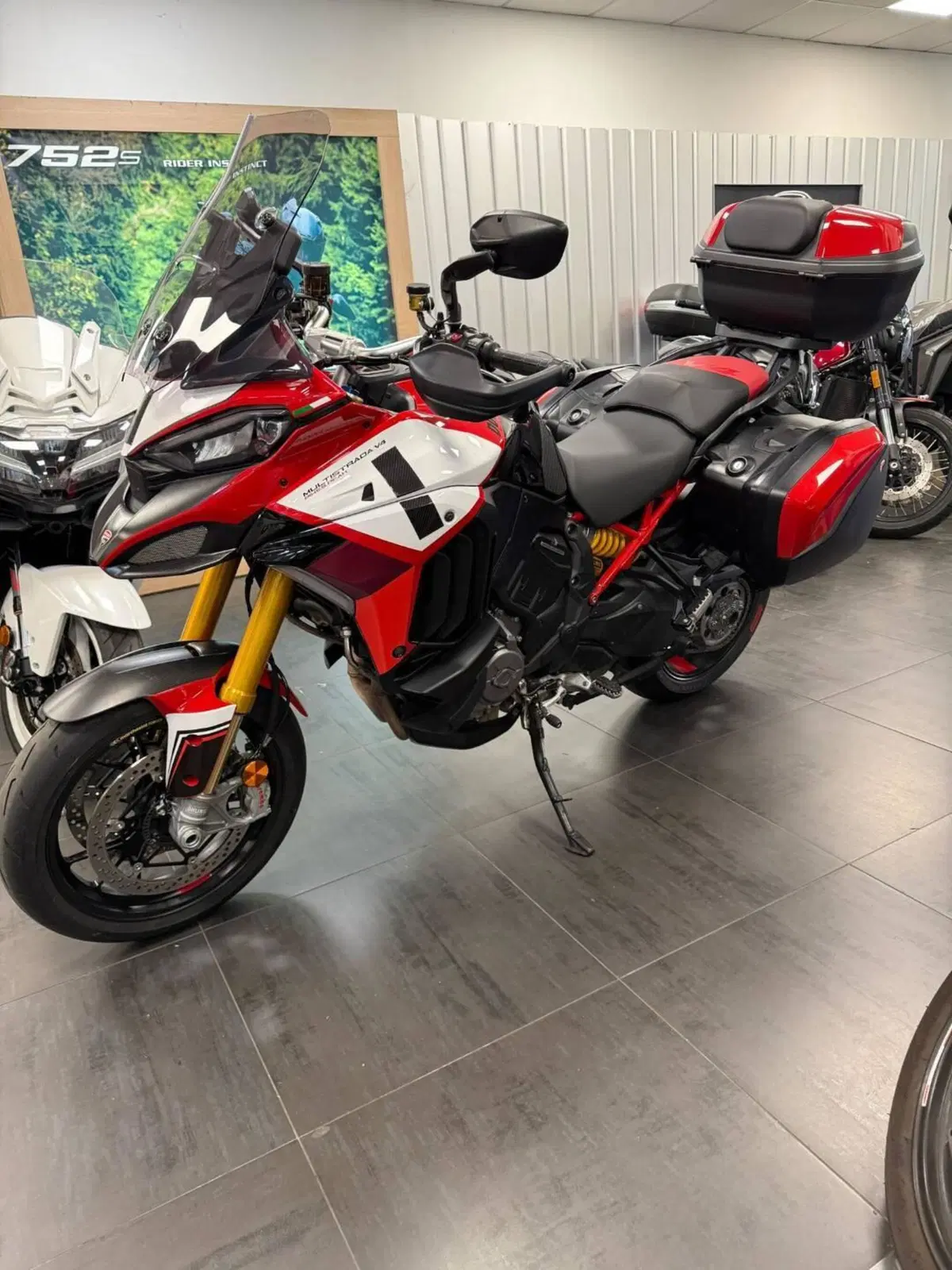 Ducati Multistrada 1260 Pikes Peak (2018 - 20) (3)