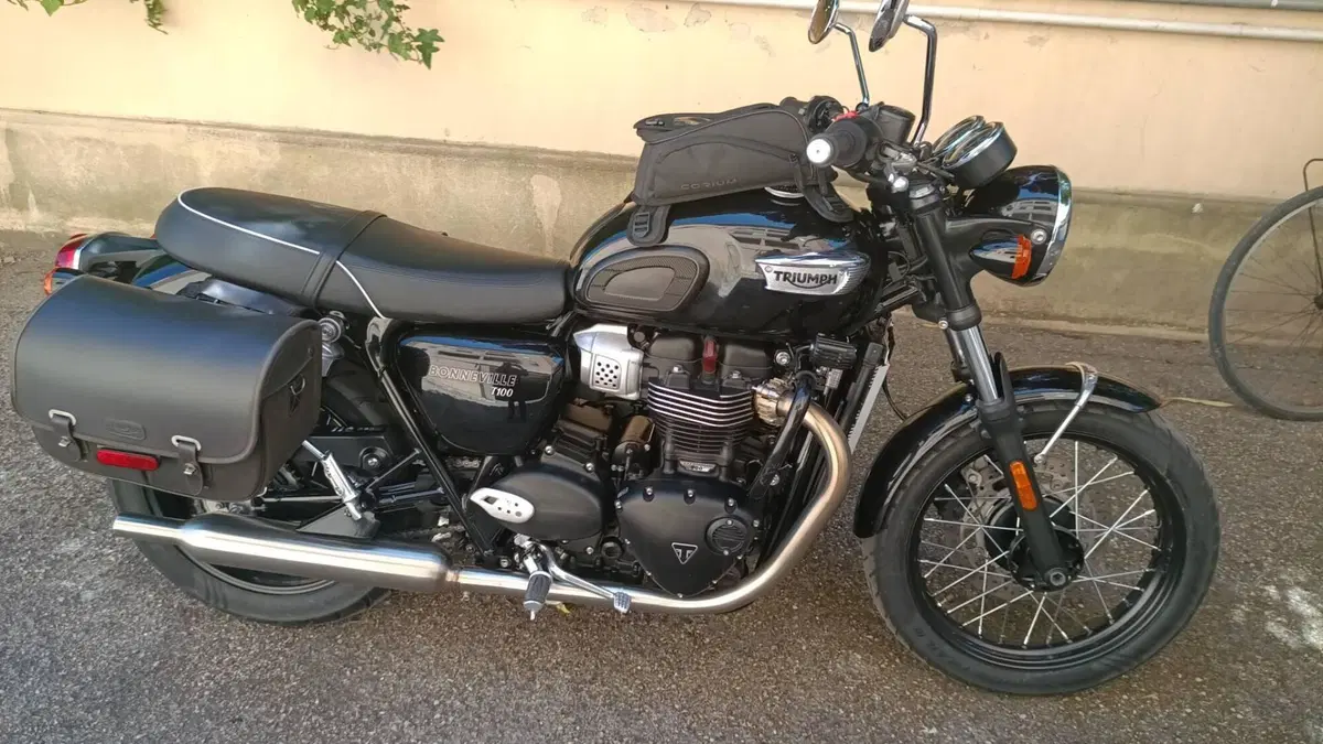Triumph Bonneville T100 (2021 - 25) (8)