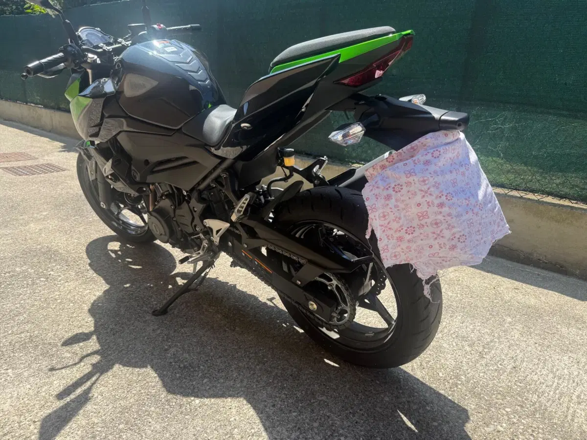 Kawasaki Z 400 (2023) (6)
