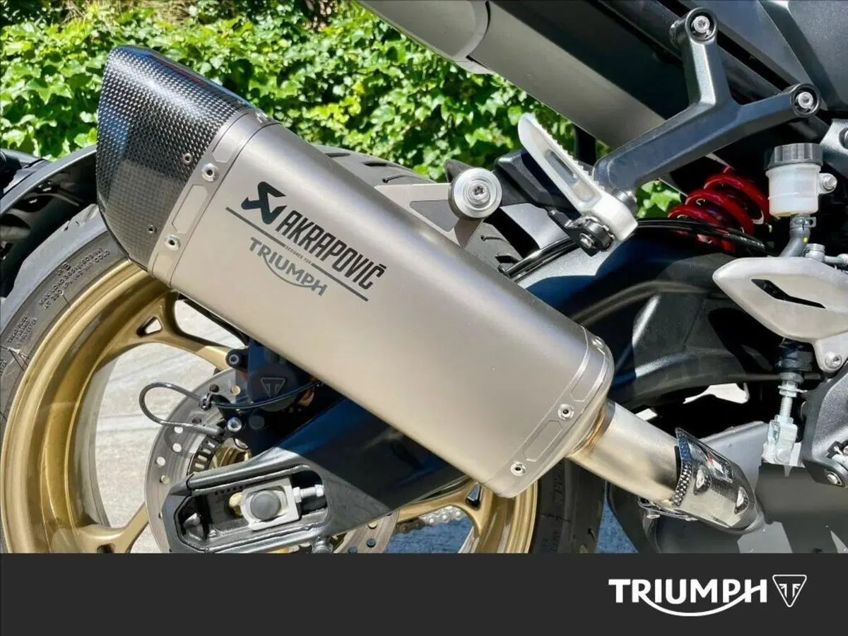 Triumph Trident 800 (2026) (8)