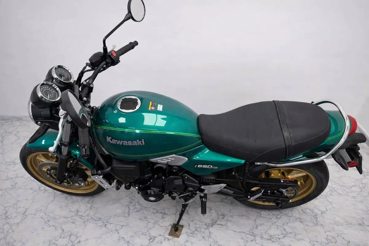 Kawasaki Z 650 RS (2022 - 24) (9)