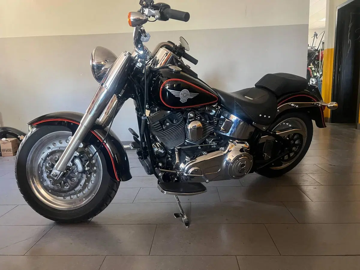 Harley-Davidson 1584 Fat Boy (2008 - 10) - FLSTF (6)