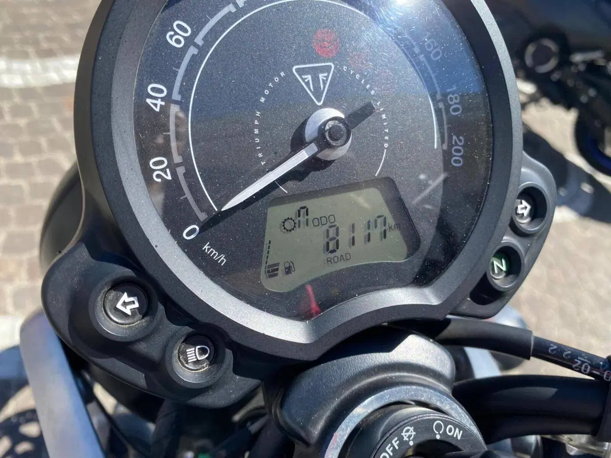 Triumph Speed Twin 900 (2023 - 24) (3)