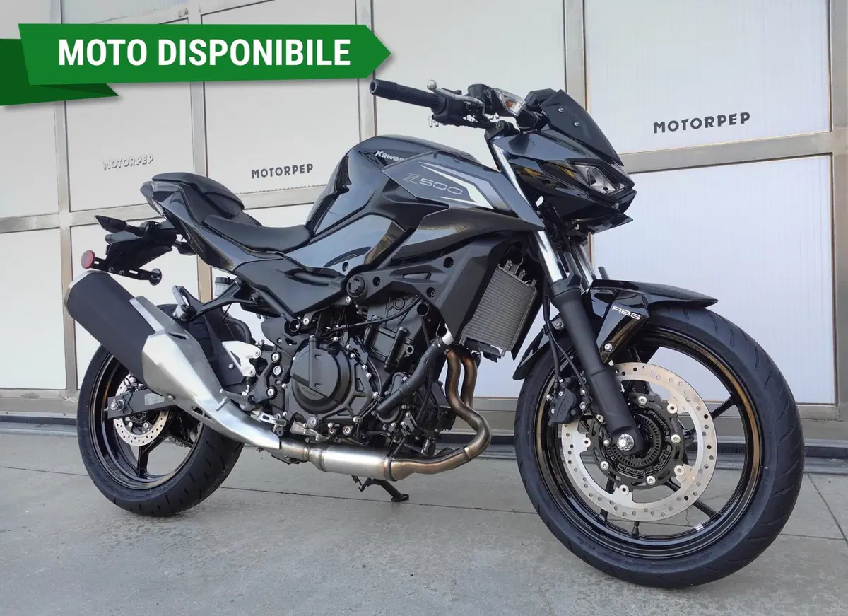Kawasaki Z 500 (2024 - 26)