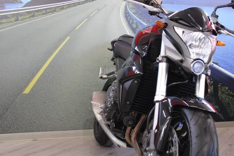 Honda CB 1000 R (2008 - 10) (10)