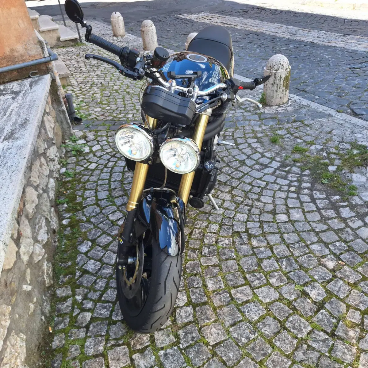 Triumph Speed Triple 1050 (2005 - 11) (2)