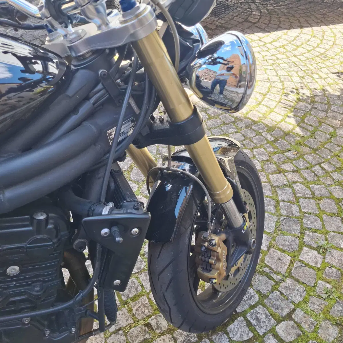 Triumph Speed Triple 1050 (2005 - 11) (7)