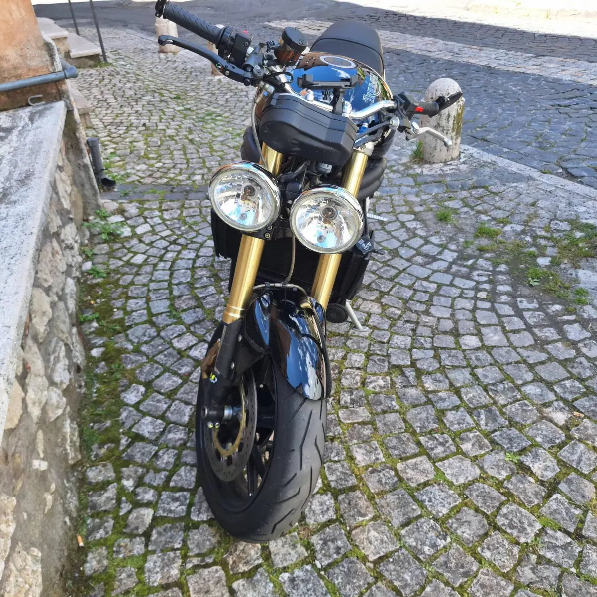 Triumph Speed Triple 1050 (2005 - 11) (9)