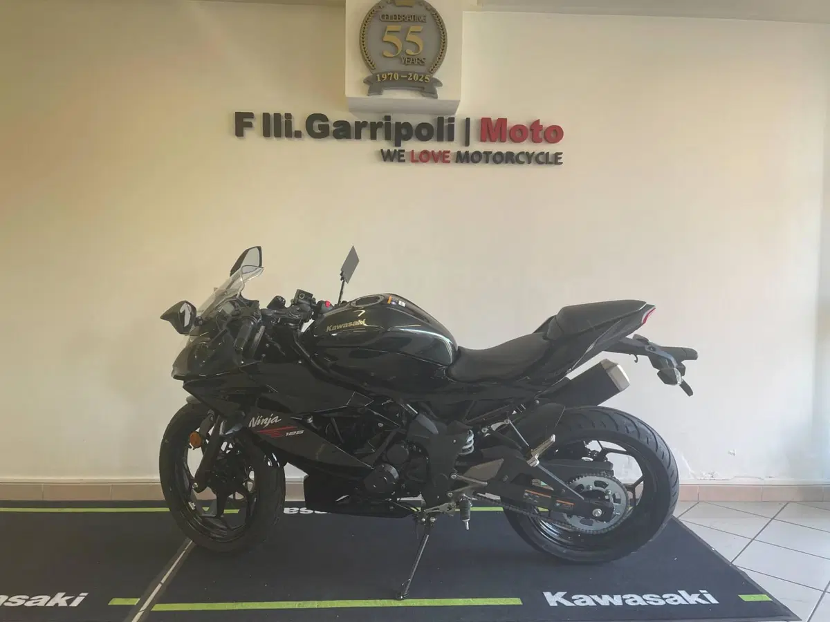 Kawasaki Ninja 125 (2025 - 26)