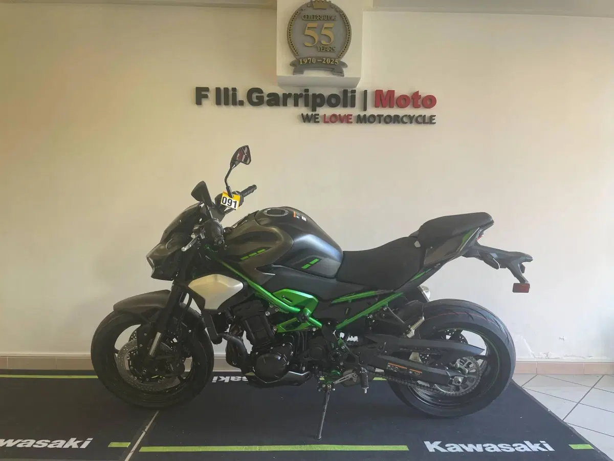 Kawasaki Z 900 (2025 - 26)