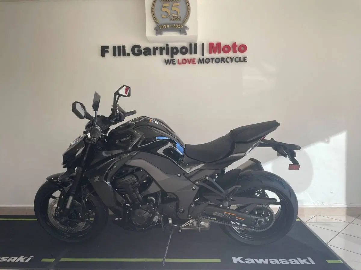 Kawasaki Z 1100 (2026)