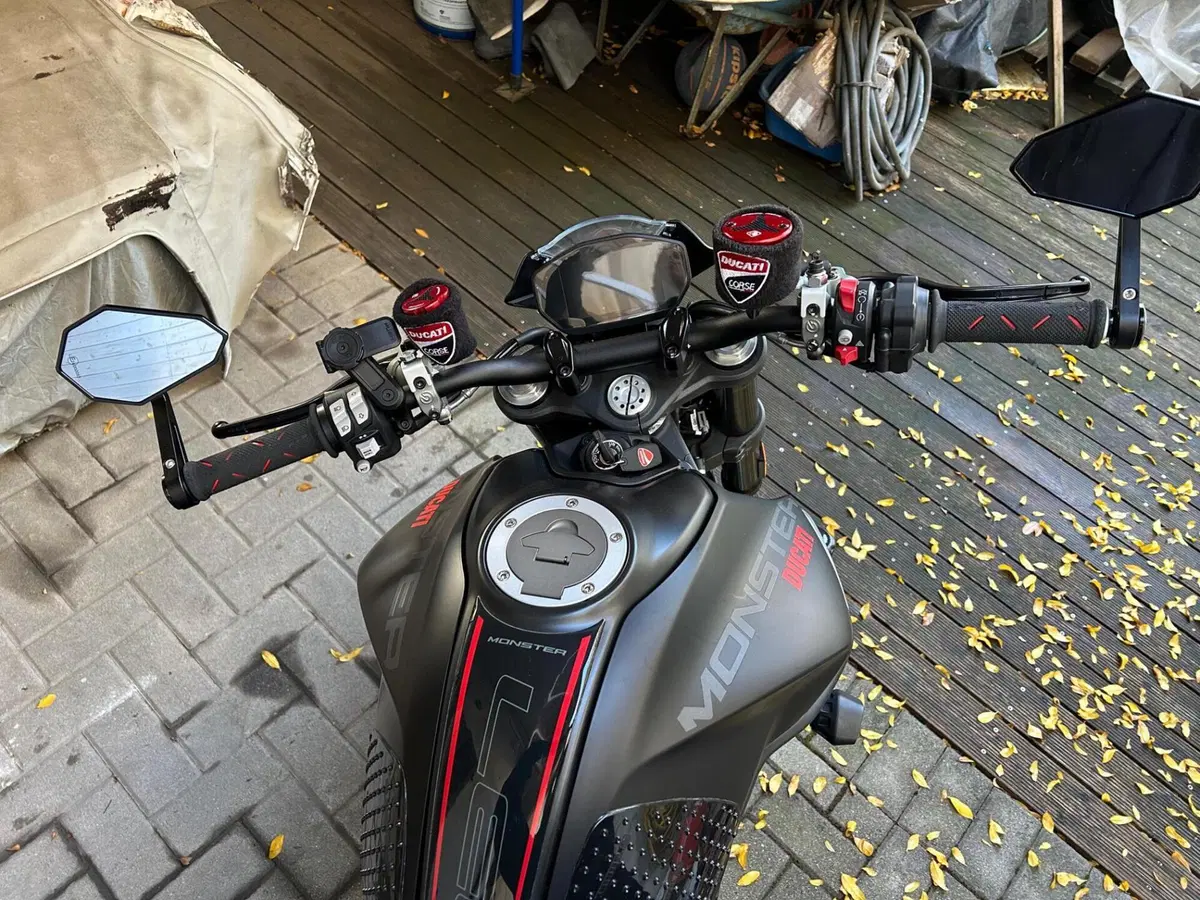 Ducati Monster 937 + (2021 - 25) (3)