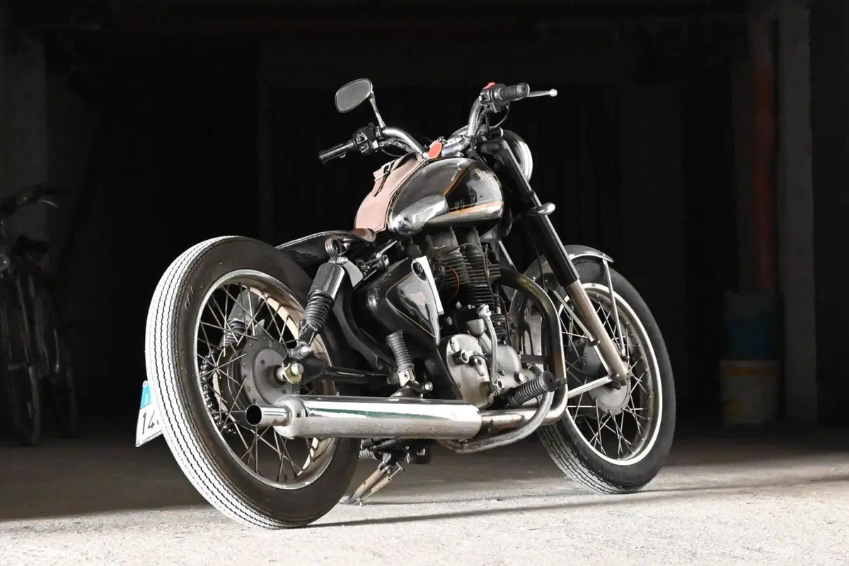 Royal Enfield 500 bullet (8)