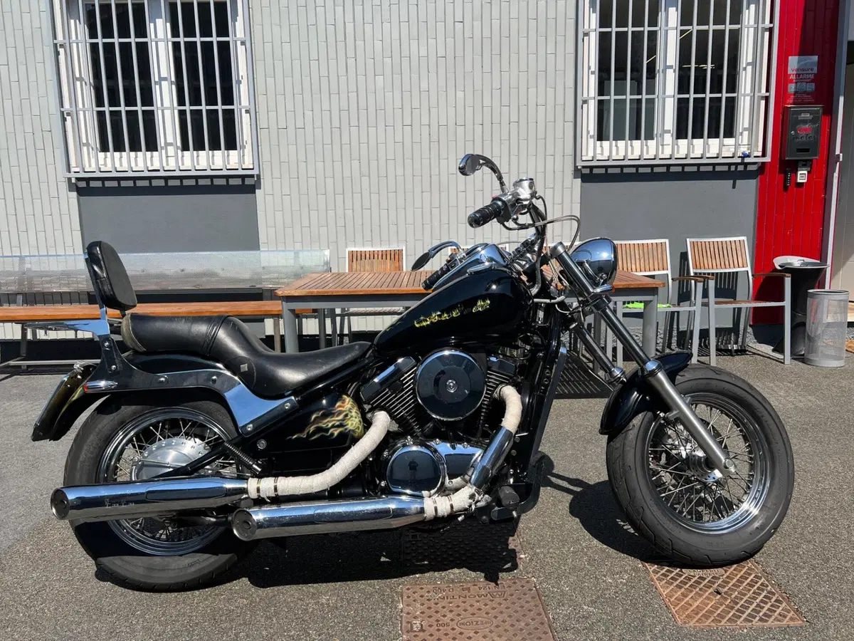 Kawasaki VN 800 Classic (2001 - 06) (2)