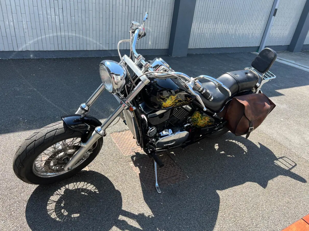 Kawasaki VN 800 Classic (2001 - 06) (5)