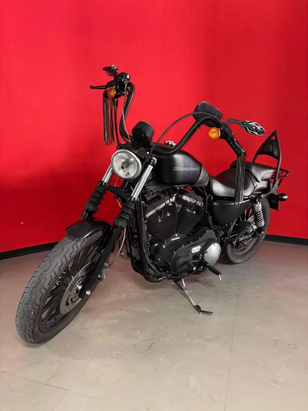 Harley-Davidson 883 Iron (2009 - 11) - XL 883N (4)