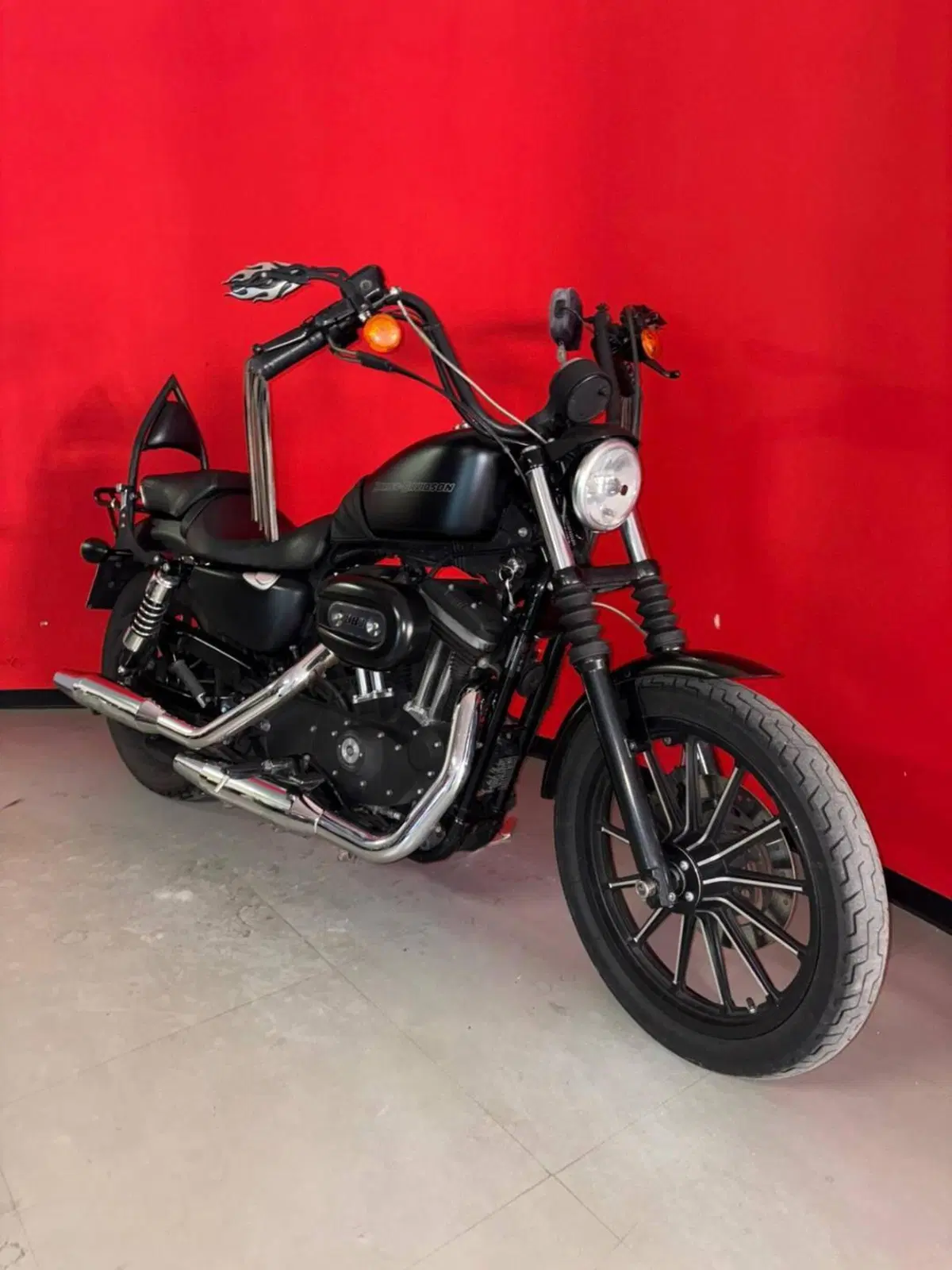 Harley-Davidson 883 Iron (2009 - 11) - XL 883N (2)