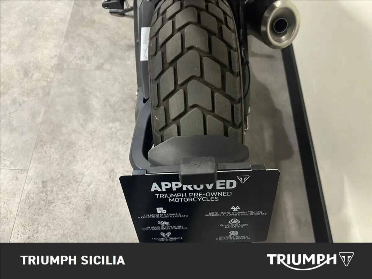 Ducati Scrambler 800 Icon (2023 - 24) (12)