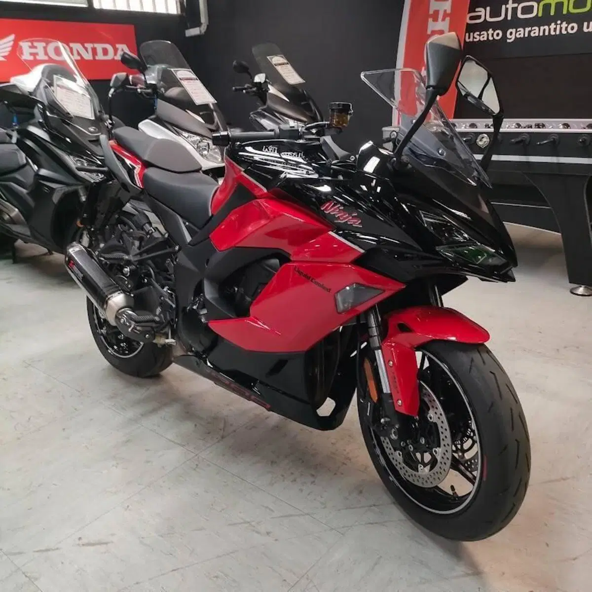 Kawasaki Ninja 1000 SX 40th Anniversary Edition (2024) (2)