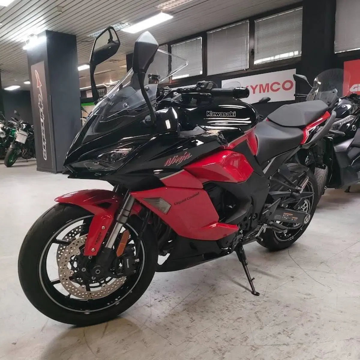 Kawasaki Ninja 1000 SX 40th Anniversary Edition (2024) (7)