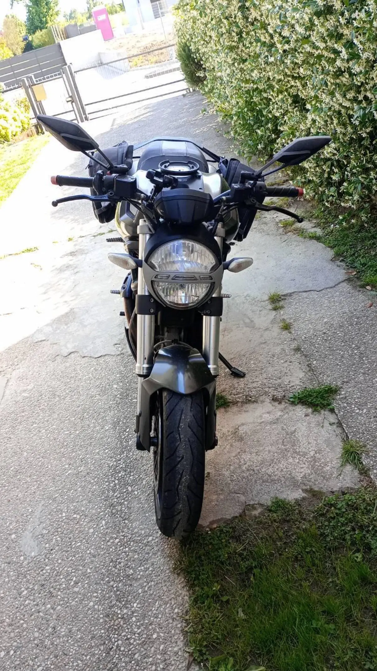 Ducati Monster 696 (2008 - 13) (2)