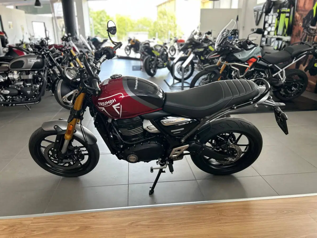 Triumph Speed 400 (2024 - 26) (3)