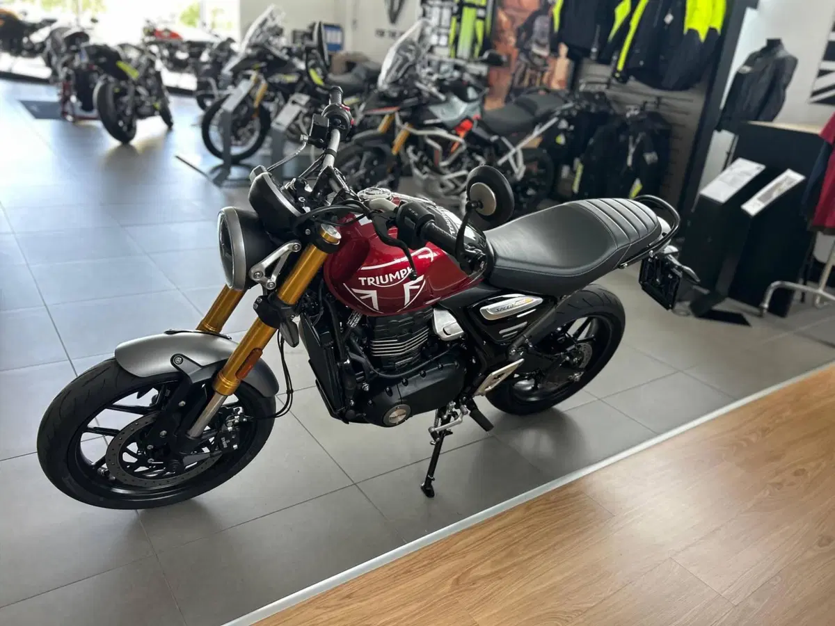 Triumph Speed 400 (2024 - 26) (4)