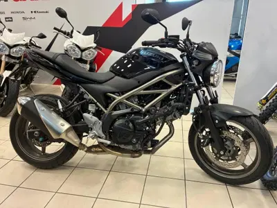 Suzuki SV650 (2021 - 24) usata