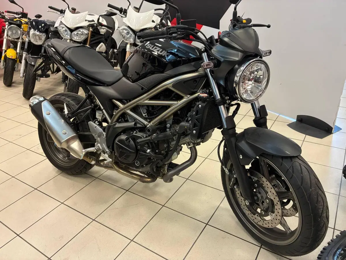 Suzuki SV650 (2021 - 24) (2)
