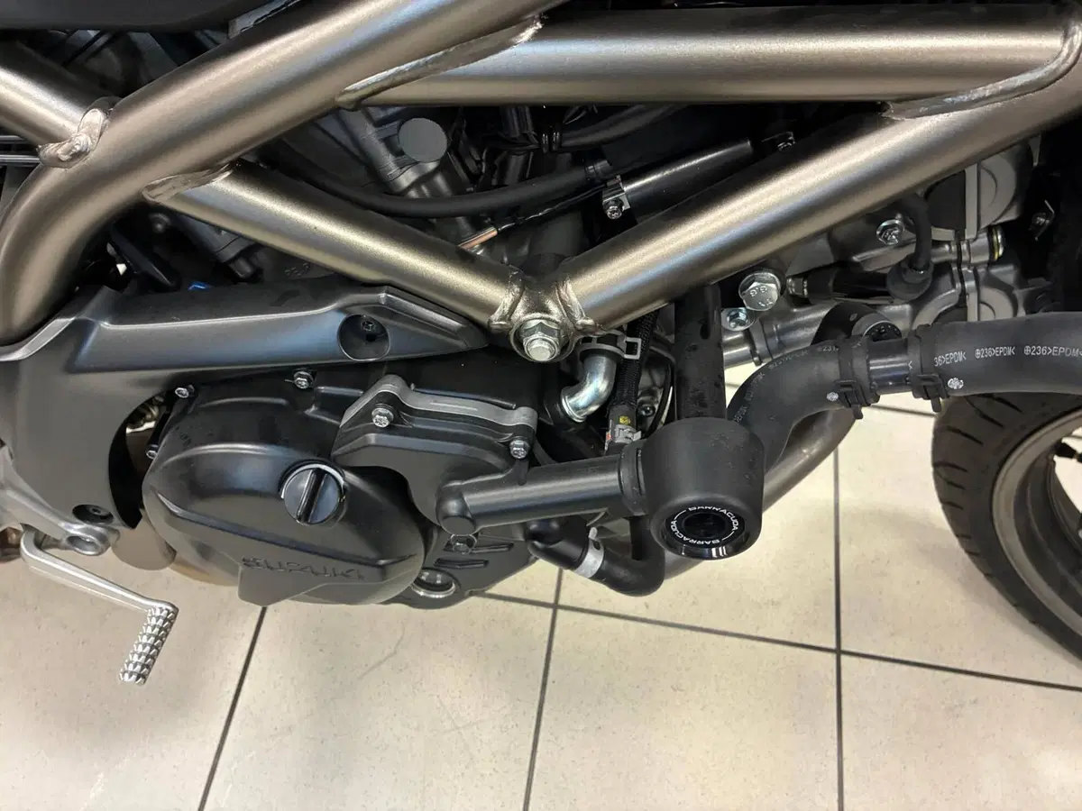 Suzuki SV650 (2021 - 24) (4)