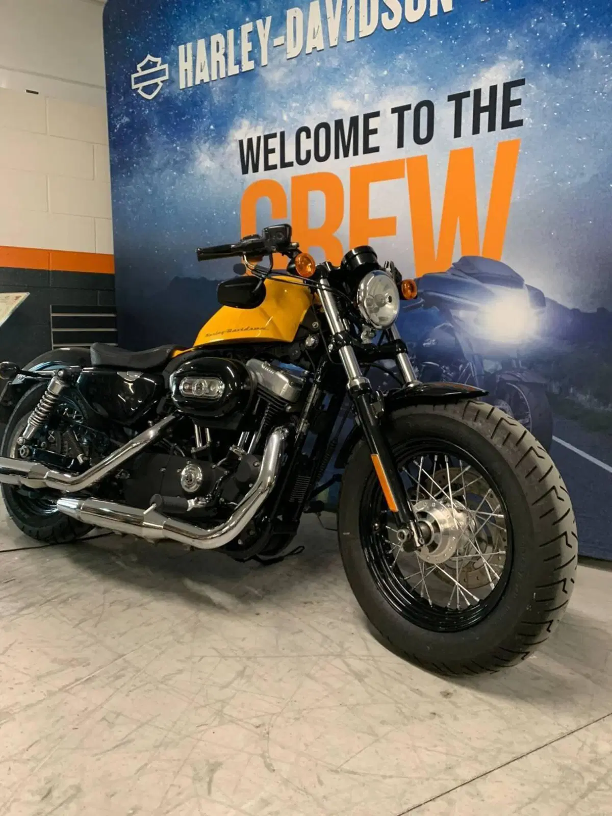 Harley-Davidson 1200 Forty-Eight (2010 - 15) (2)