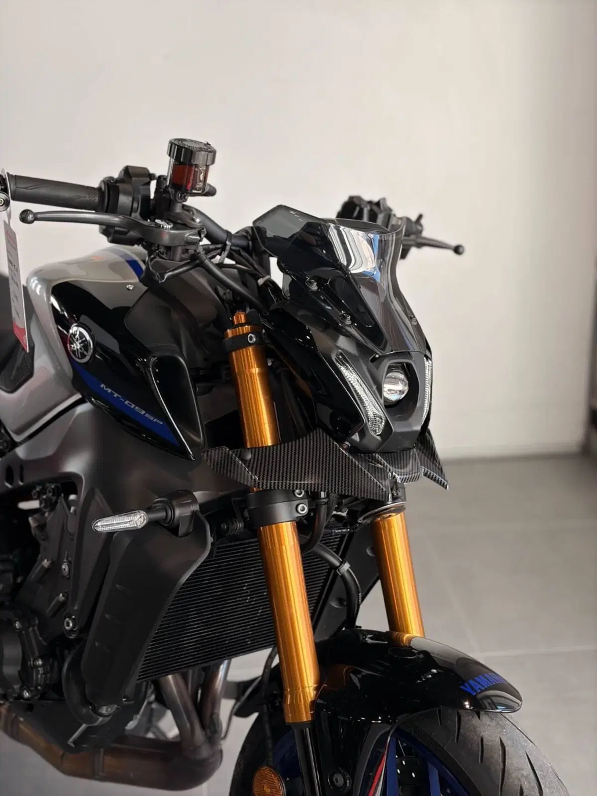Yamaha MT-09 SP (2021 - 23) (2)