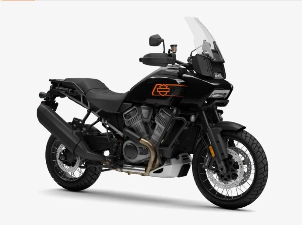 Harley-Davidson Pan America 1250 Special (2020 - 25) (3)