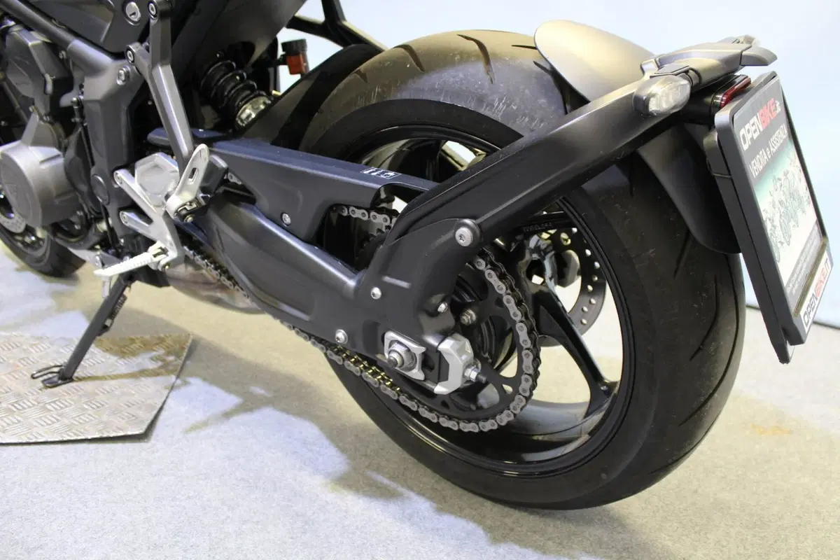 Triumph Trident 660 (2021 - 24) (15)