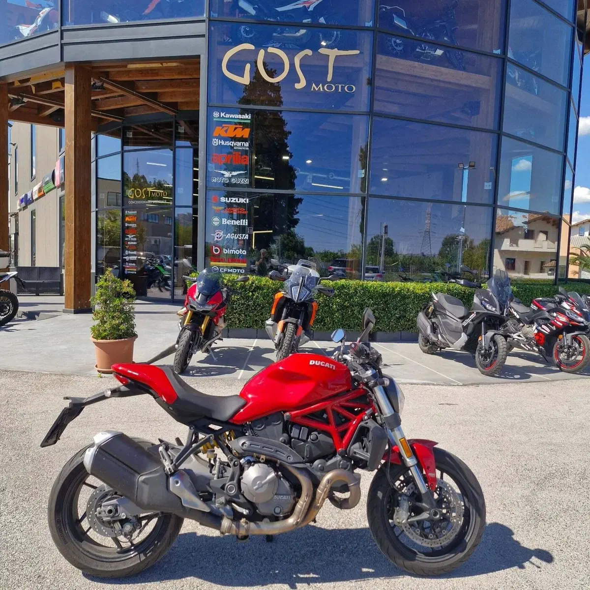 Ducati Monster 821 (2018 - 20)