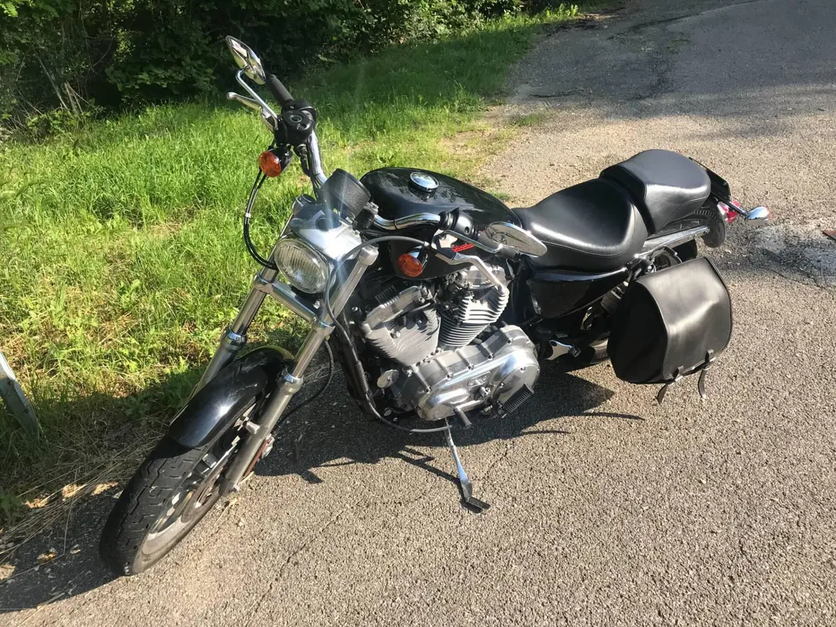 Harley-Davidson 883 R (2004 - 05) - XL 883R (2)