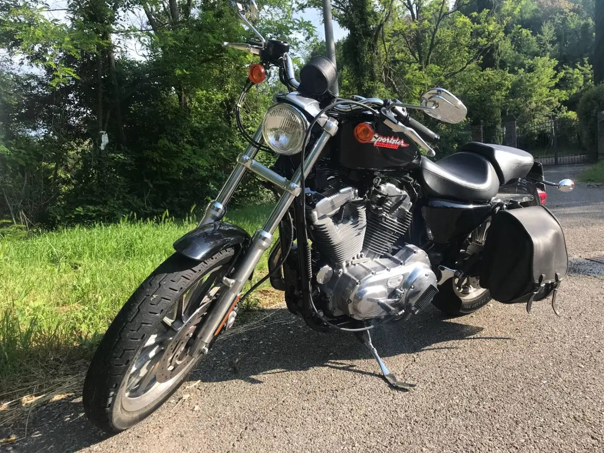 Harley-Davidson 883 R (2004 - 05) - XL 883R (3)