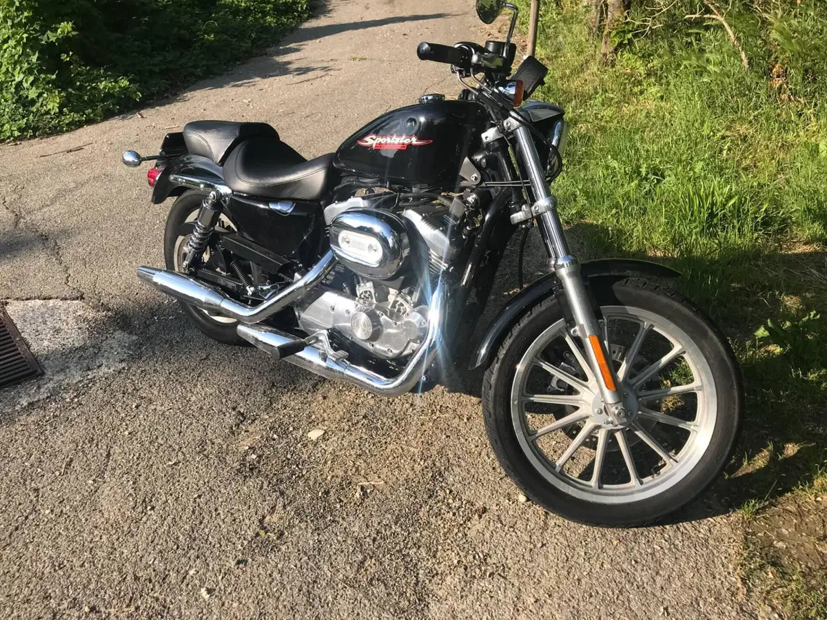 Harley-Davidson 883 R (2004 - 05) - XL 883R (4)