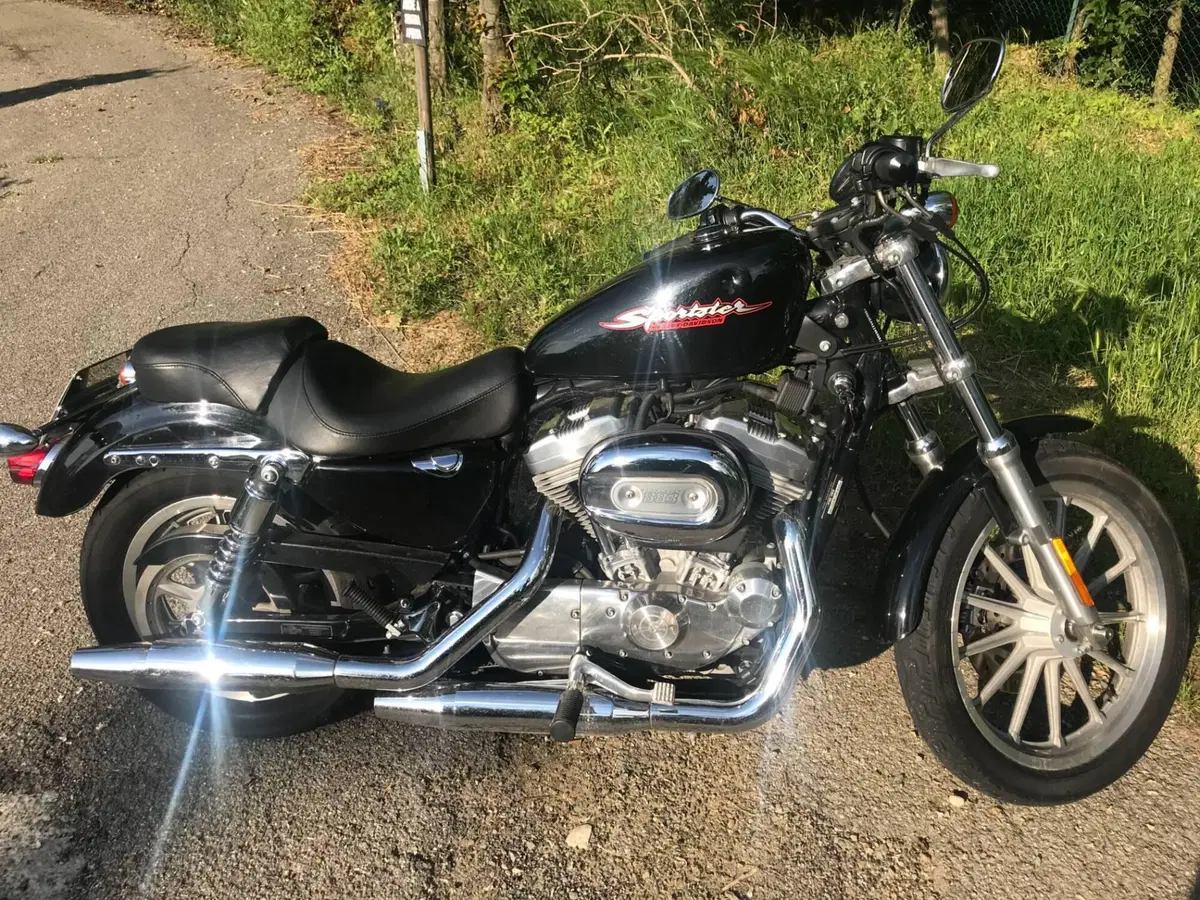 Harley-Davidson 883 R (2004 - 05) - XL 883R (6)