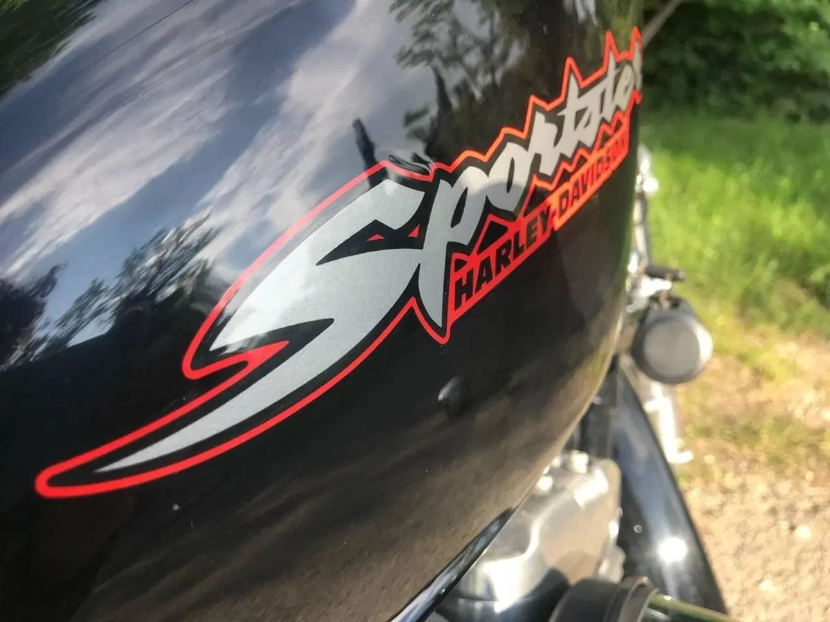 Harley-Davidson 883 R (2004 - 05) - XL 883R (12)