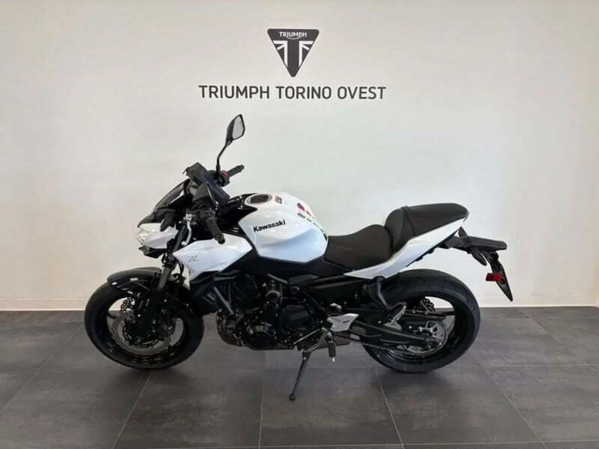 Kawasaki Z 650 (2021 - 24) (3)